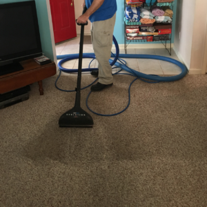 Carpet Cleaning 1