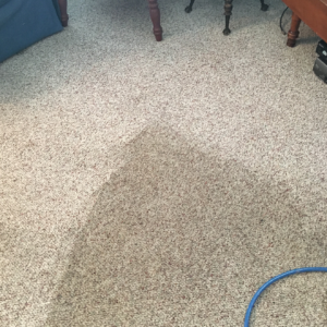 Carpet Cleaning 2 Lewes DE