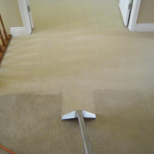 Carpet Cleaning 3 Rehoboth DE