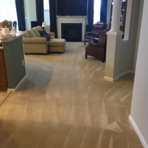 Carpet Cleaning Dagsboro DE