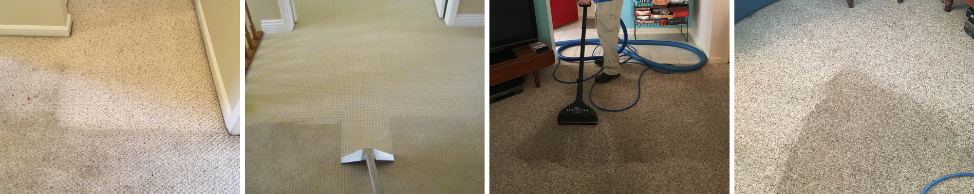 Carpet Cleaning